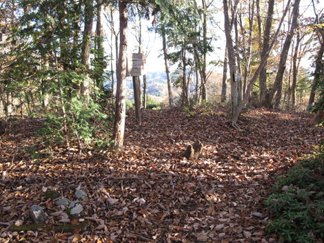 20181115hike (232)